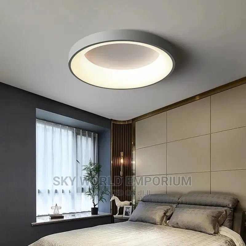 Ceiling Fittings