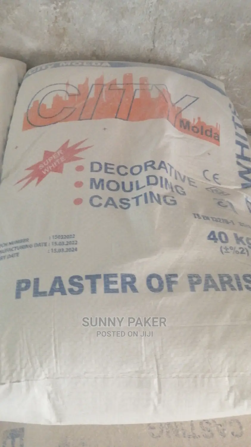 City Model Plaster of Paris