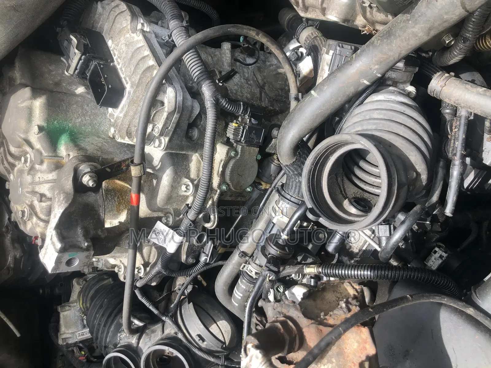 Ford Focus Transmission