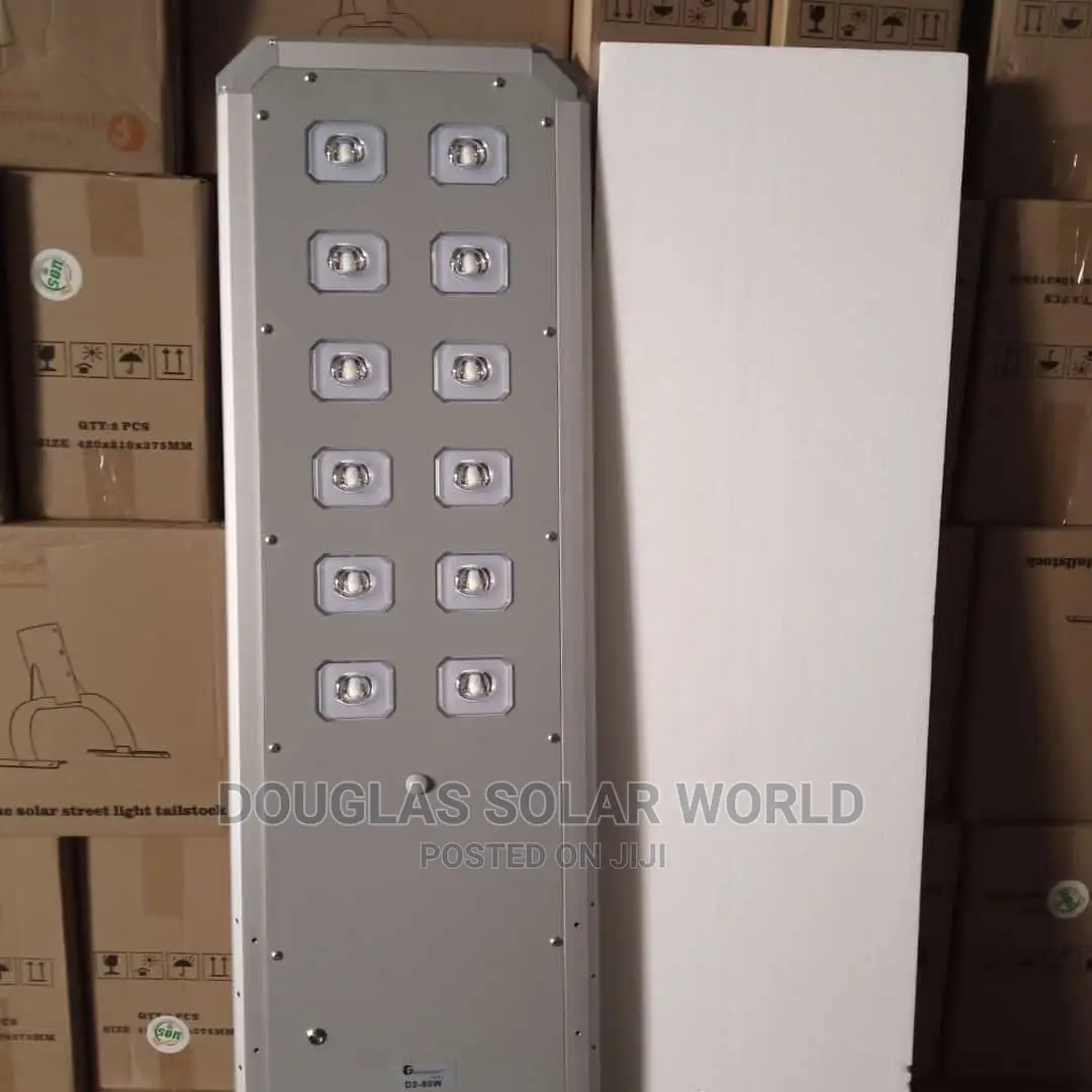 D2 80w Felicity Solar Street Light