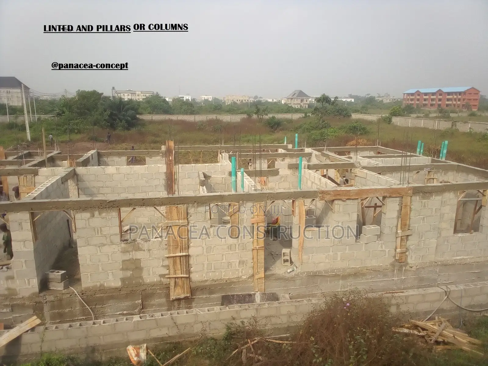 Professional Construction Carpenter