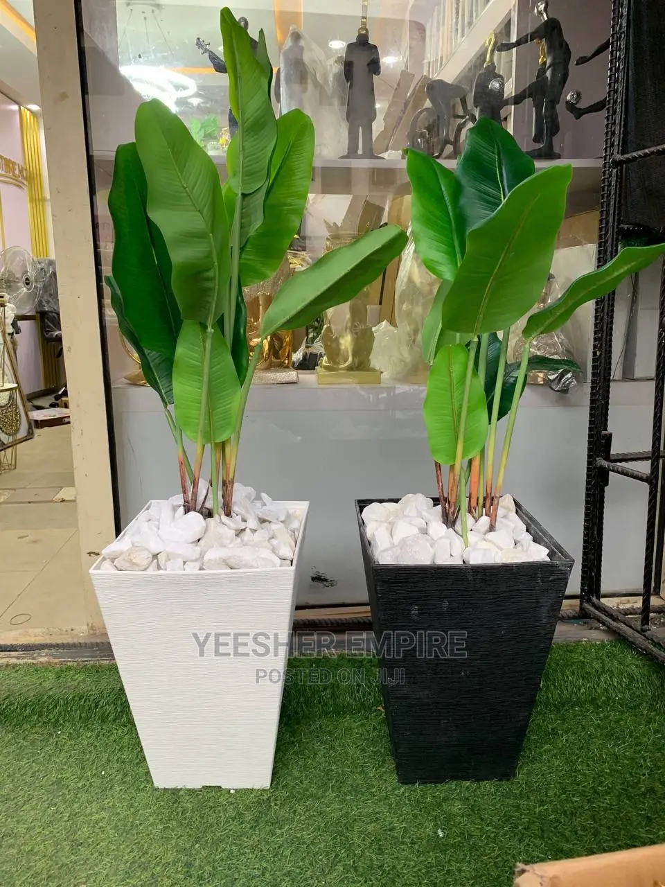 Potted Flower Plants