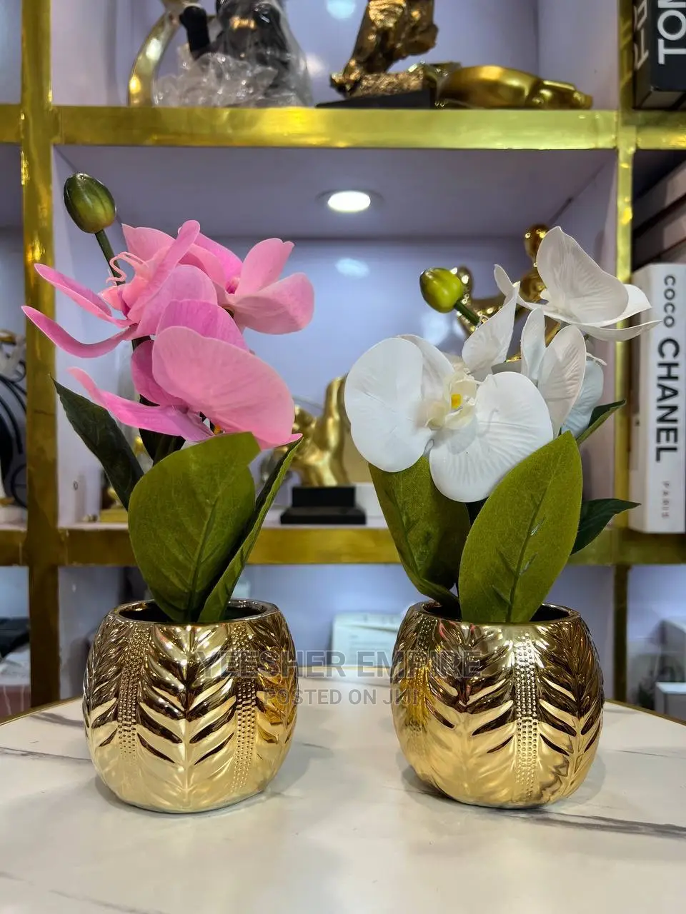 Gold Pot Orchid Flower