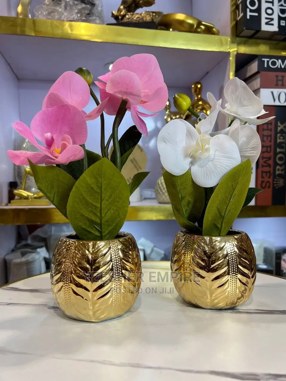 Gold Pot Orchid Flower