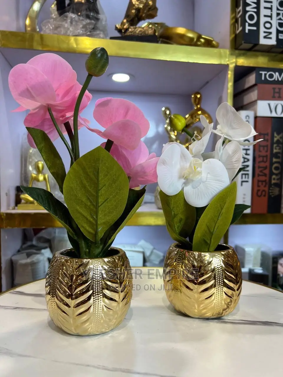 Gold Pot Orchid Flower