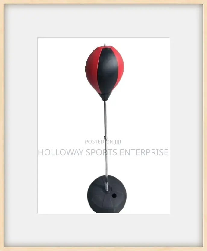 Punching Ball Set