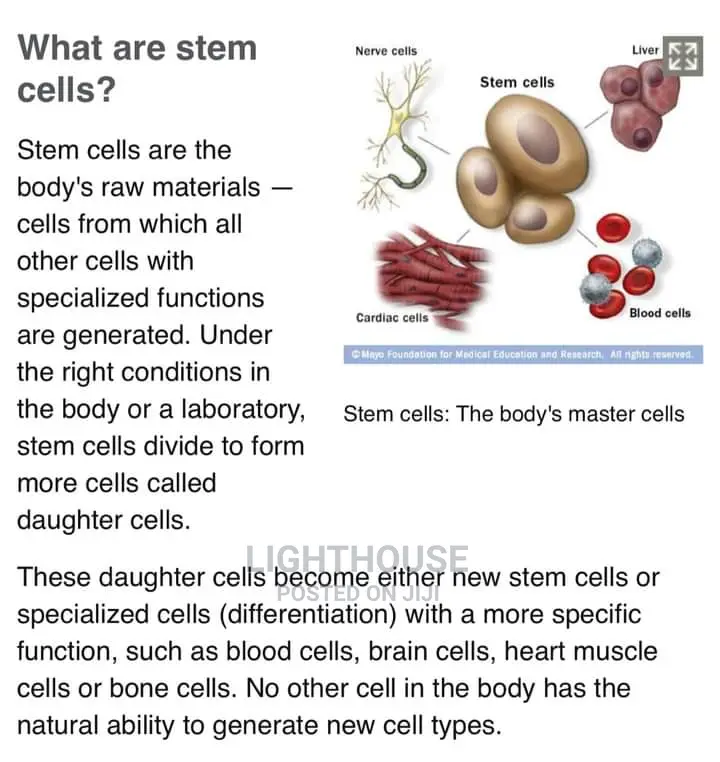 Diva Secret Stem Cell for All Illness by 11 Sachets of 3000m