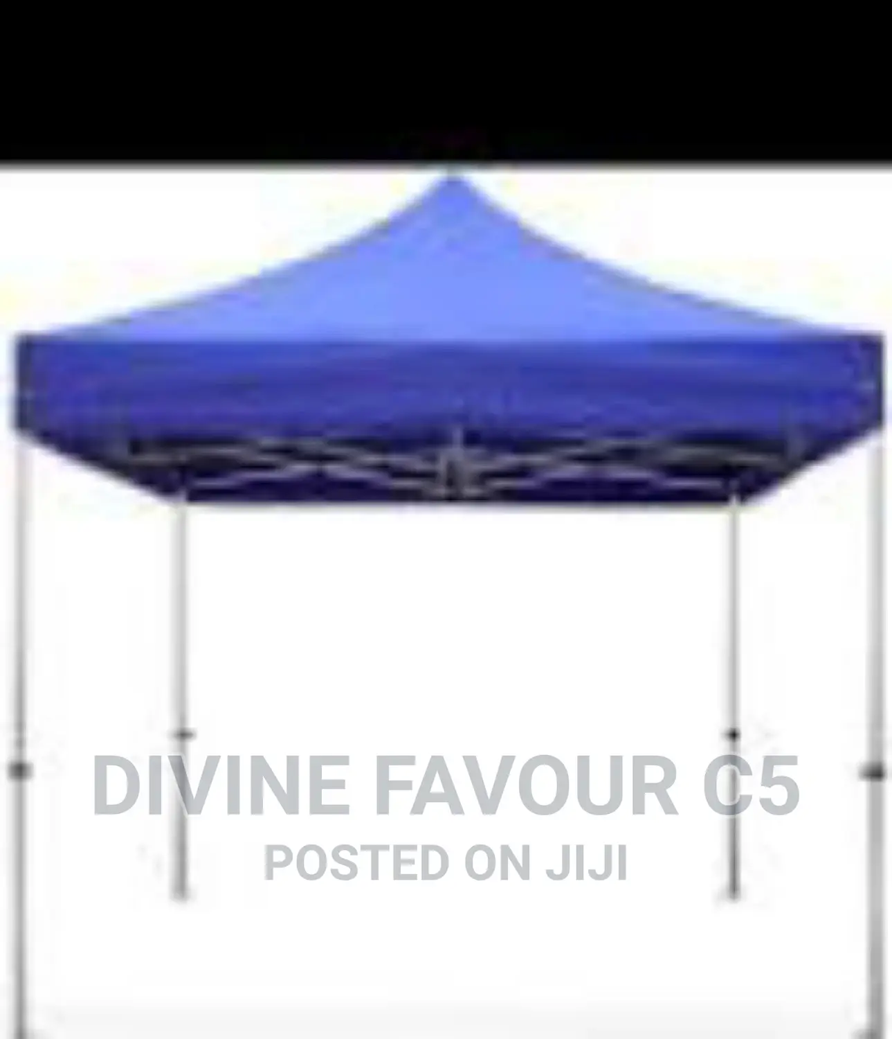 10x10 Foldable Canopy/ Gazebo