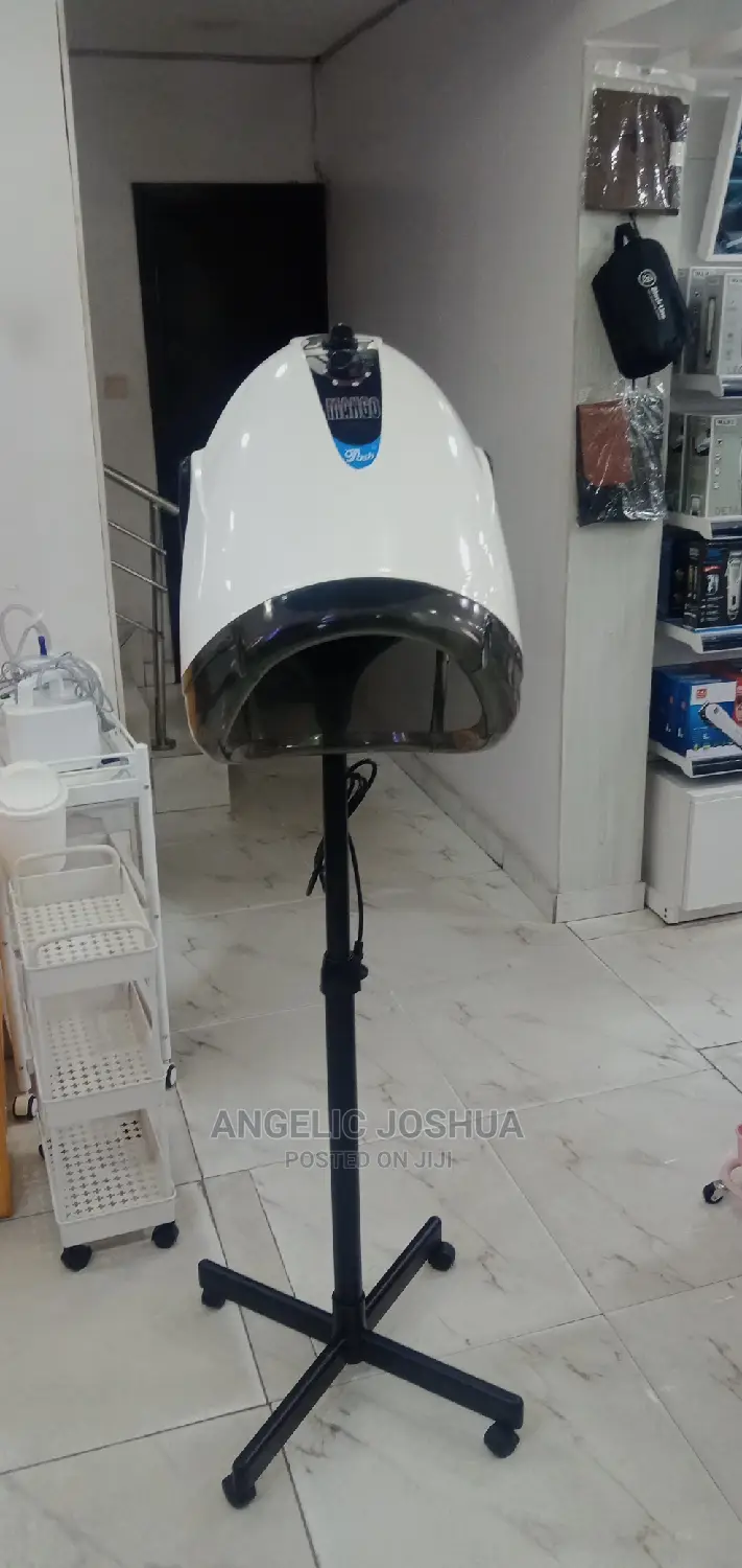 Standing Mango Hair Dryer