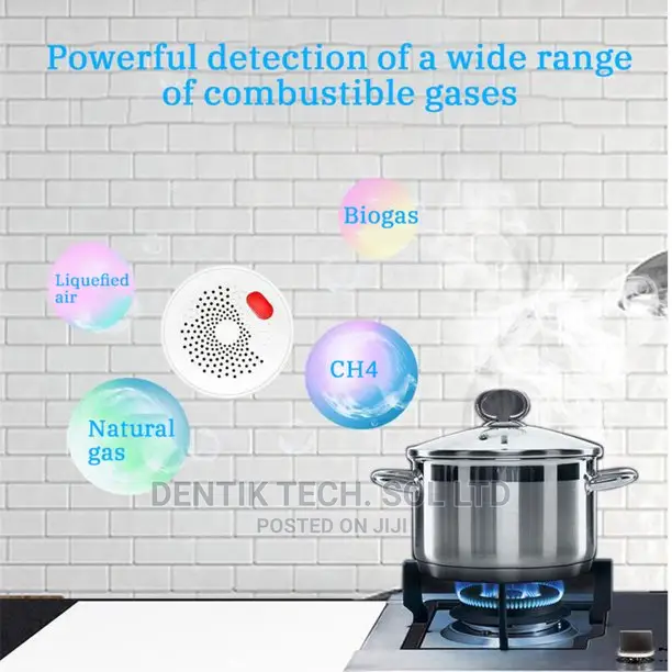 Smart Wifi Combustible Gas Detector