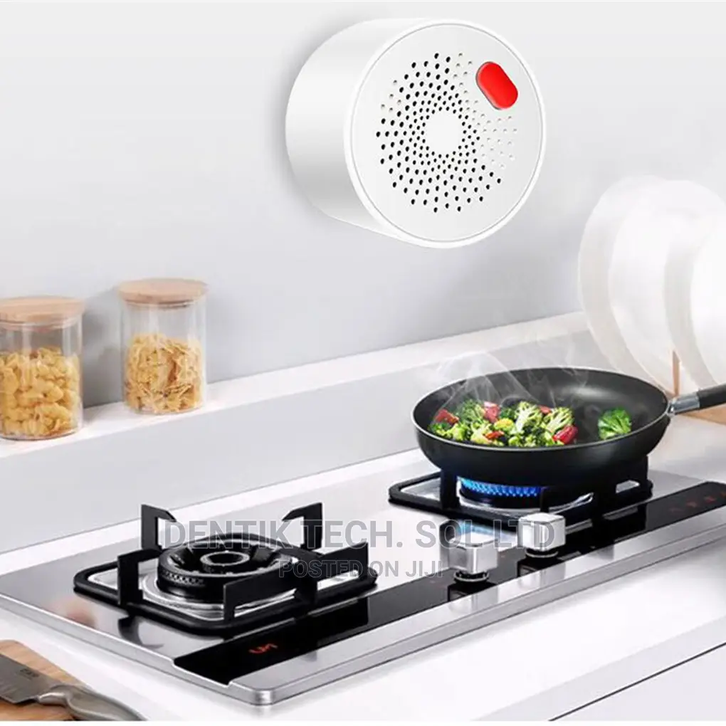 Smart Wifi Combustible Gas Detector