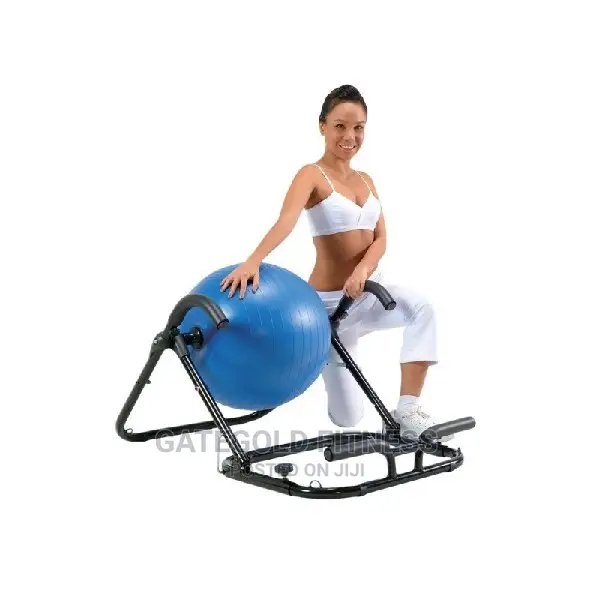 EB01 Ab Exercise Ball0