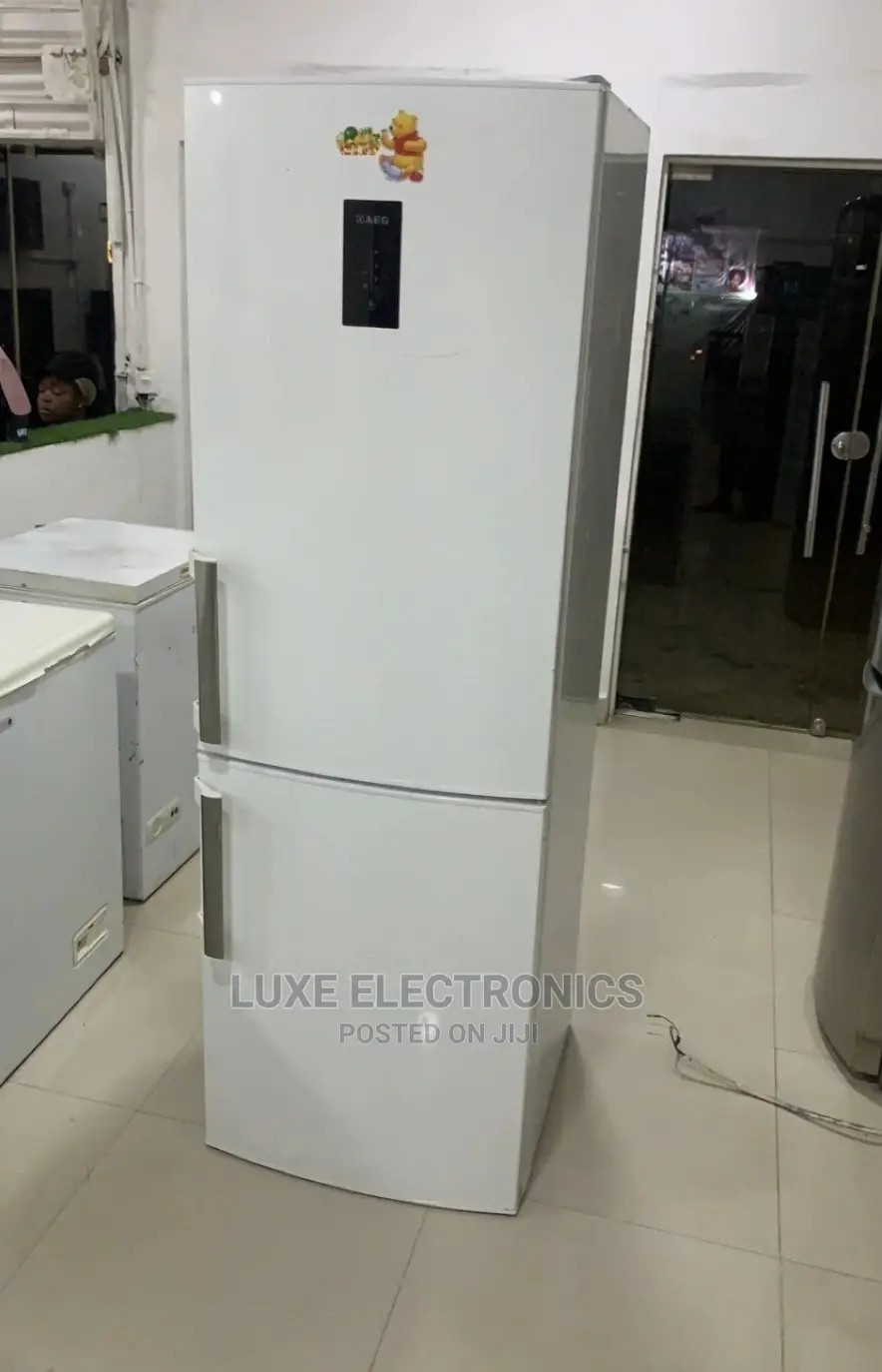 350 Liters German Used Double Door Refrigerator