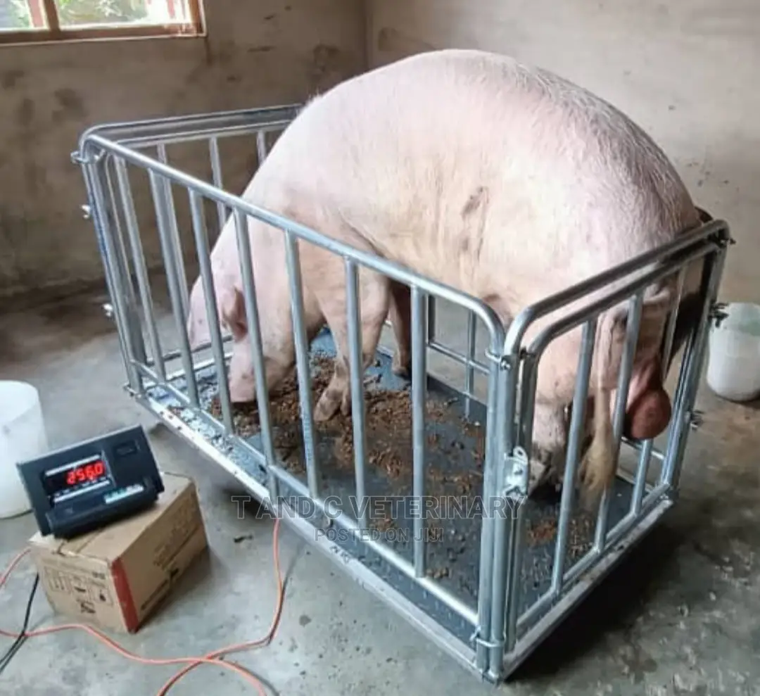 Heavy Duty Digital Animal Weighing Scale