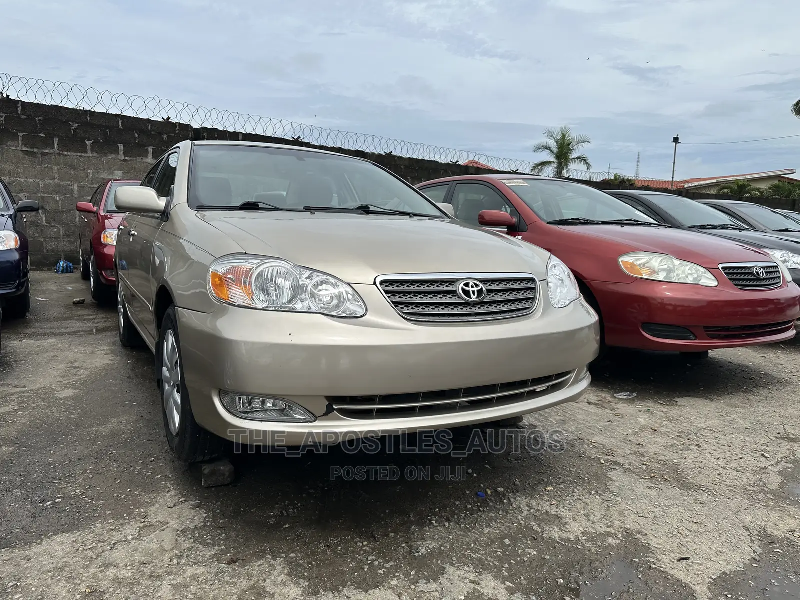 Toyota Corolla LE 2005 Gold