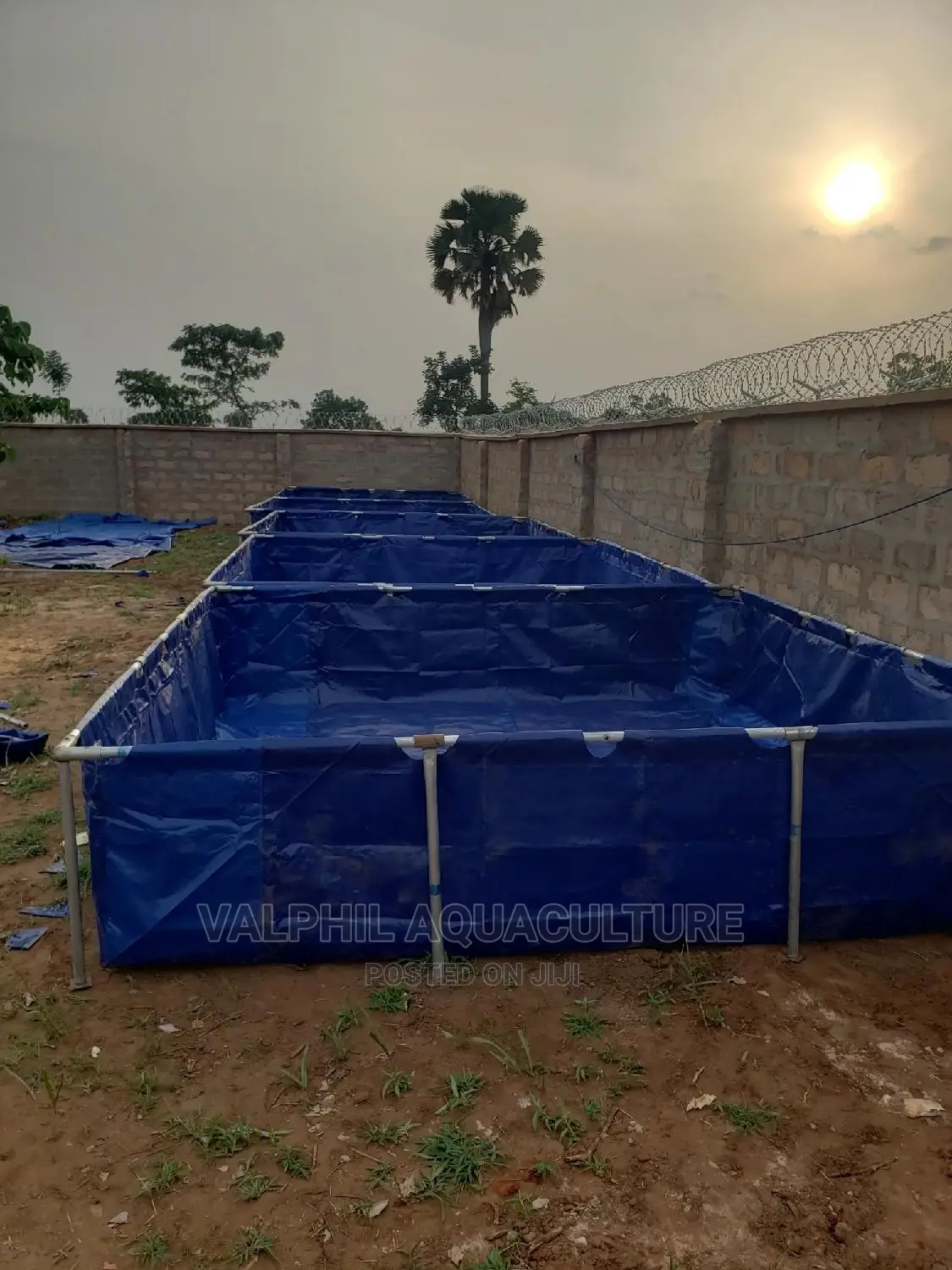 1000 Capacity Tarpaulin Fish Pond