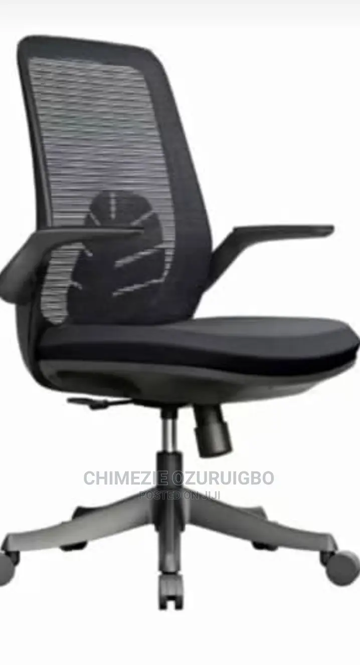 Mesh Ergonomic Swivel Chair With Adjustable Arm Rest