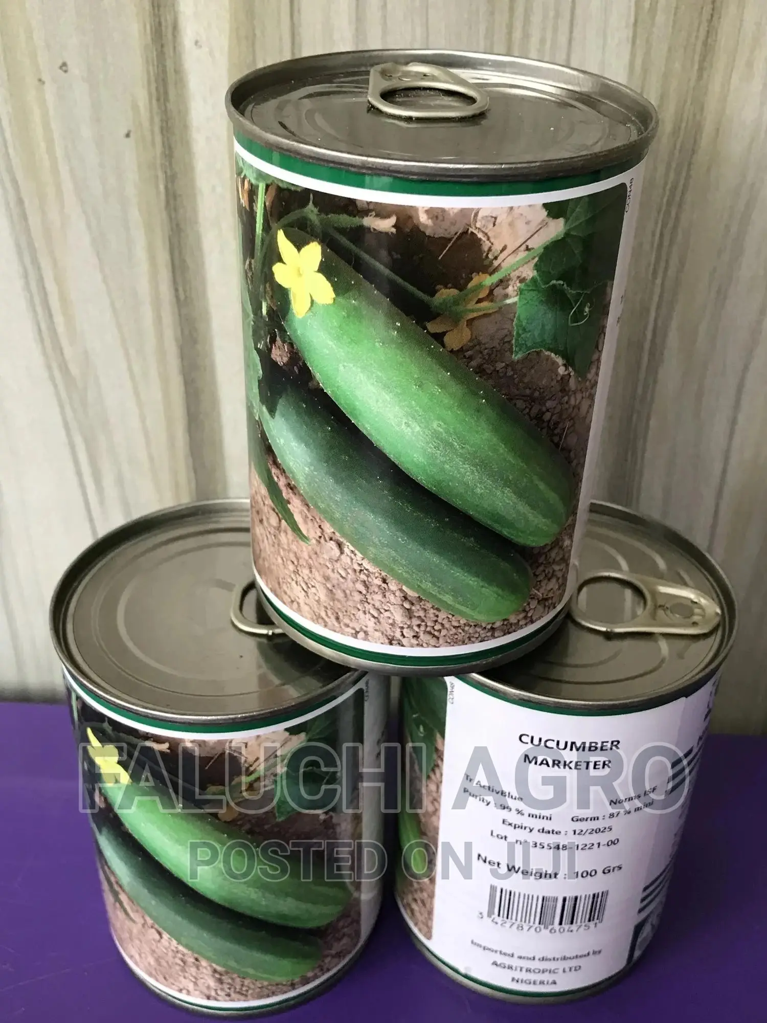 Technism Hybrid Cucumber Seed (100 Grams)