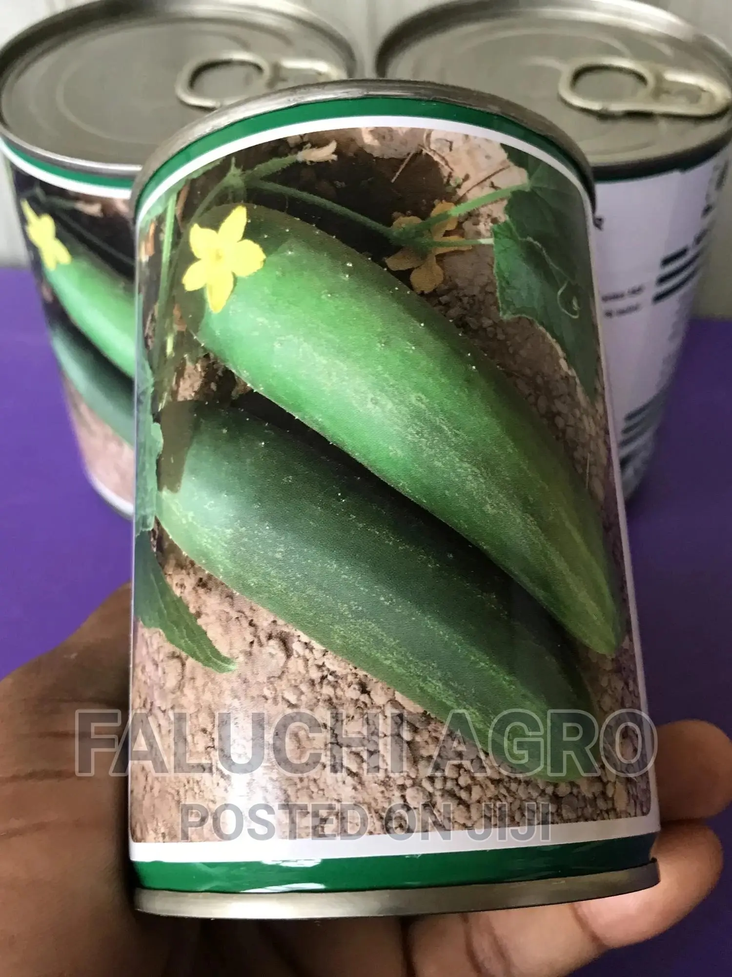 Technism Hybrid Cucumber Seed (100 Grams)