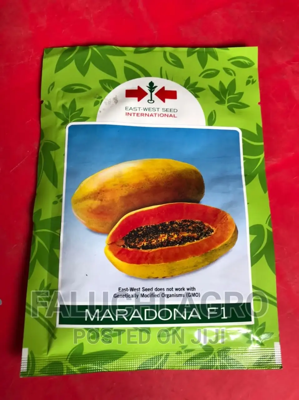 Hybrid Dwarf Pawpaw Seed ( 500 Seeds )