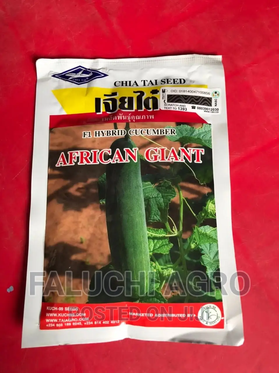 Hybrid Cucumber Seed (African Gaint )