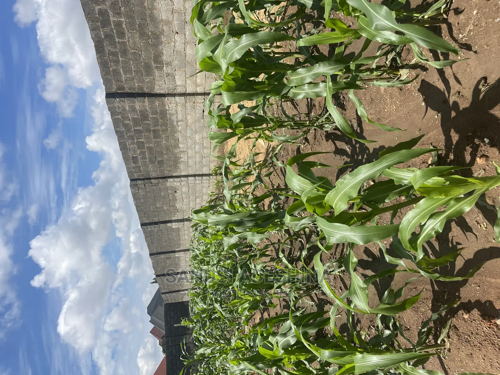 A Very Good and Fence With Gate Fcda Plot