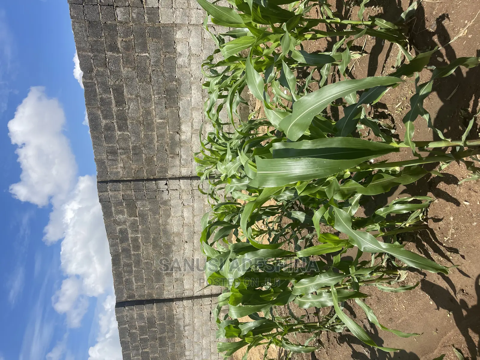 A Very Good and Fence With Gate Fcda Plot