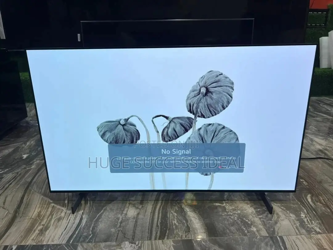Lg C2 Series 42inchs Class Oled Evo Smart Tv