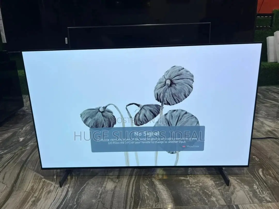 Lg C2 Series 42inchs Class Oled Evo Smart Tv