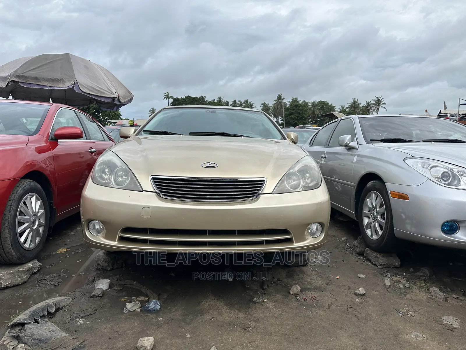Lexus ES 330 2005 Gold