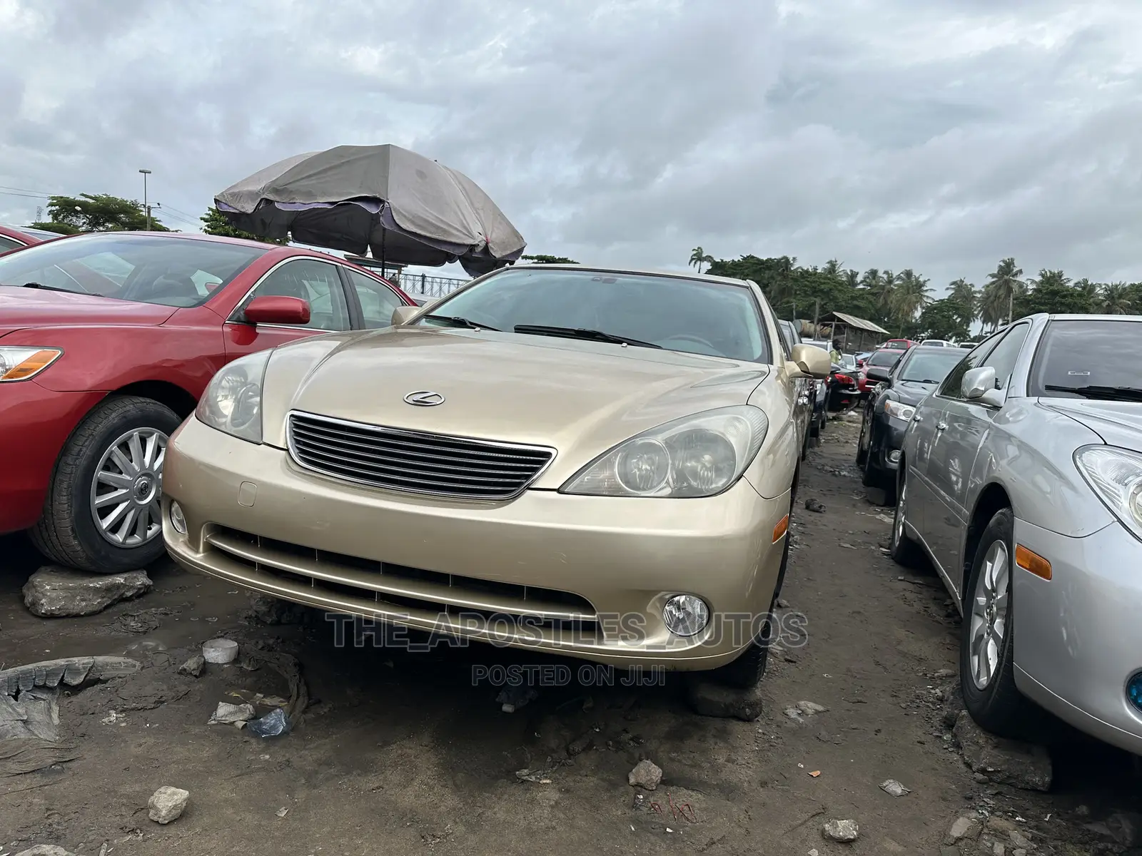 Lexus ES 330 2005 Gold