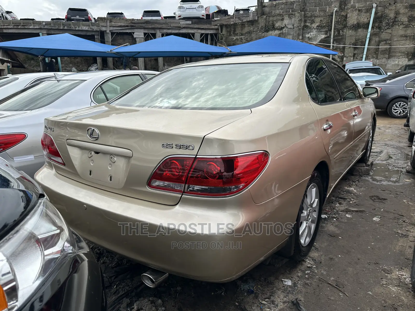 Lexus ES 330 2005 Gold