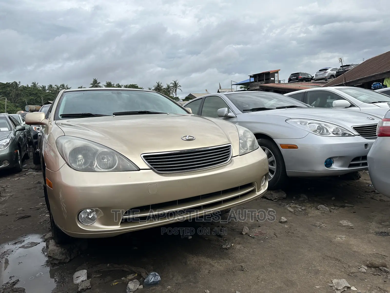 Lexus ES 330 2005 Gold