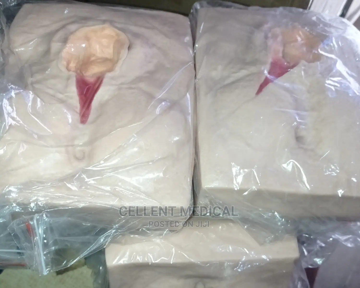 Vulva Training Simulator