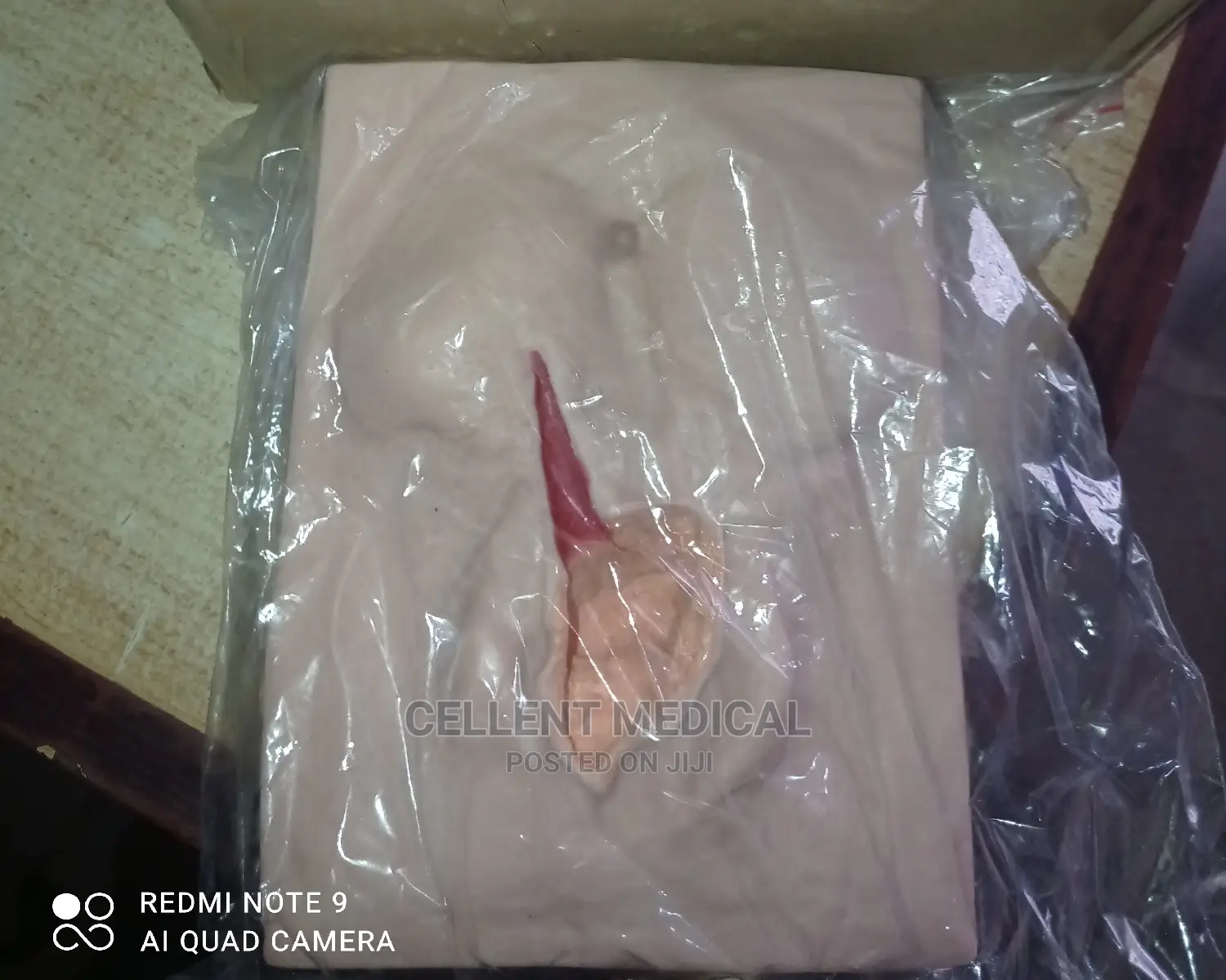 Vulva Training Simulator