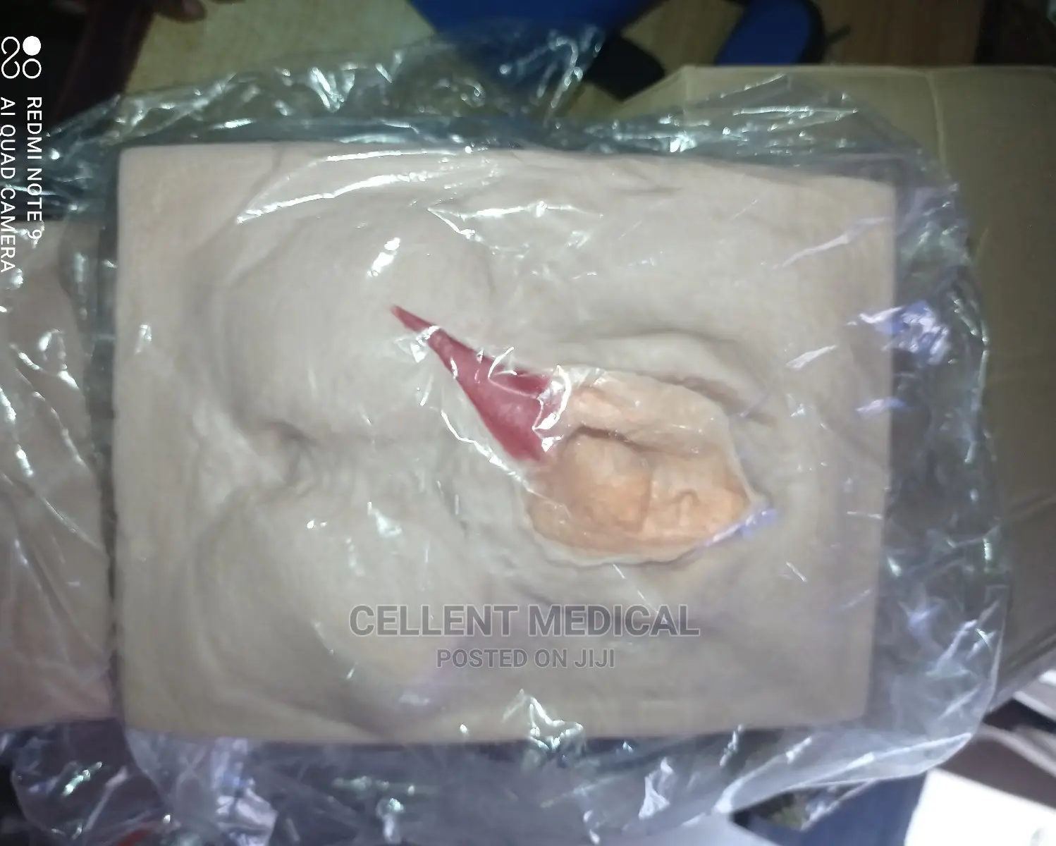 Vulva Training Simulator