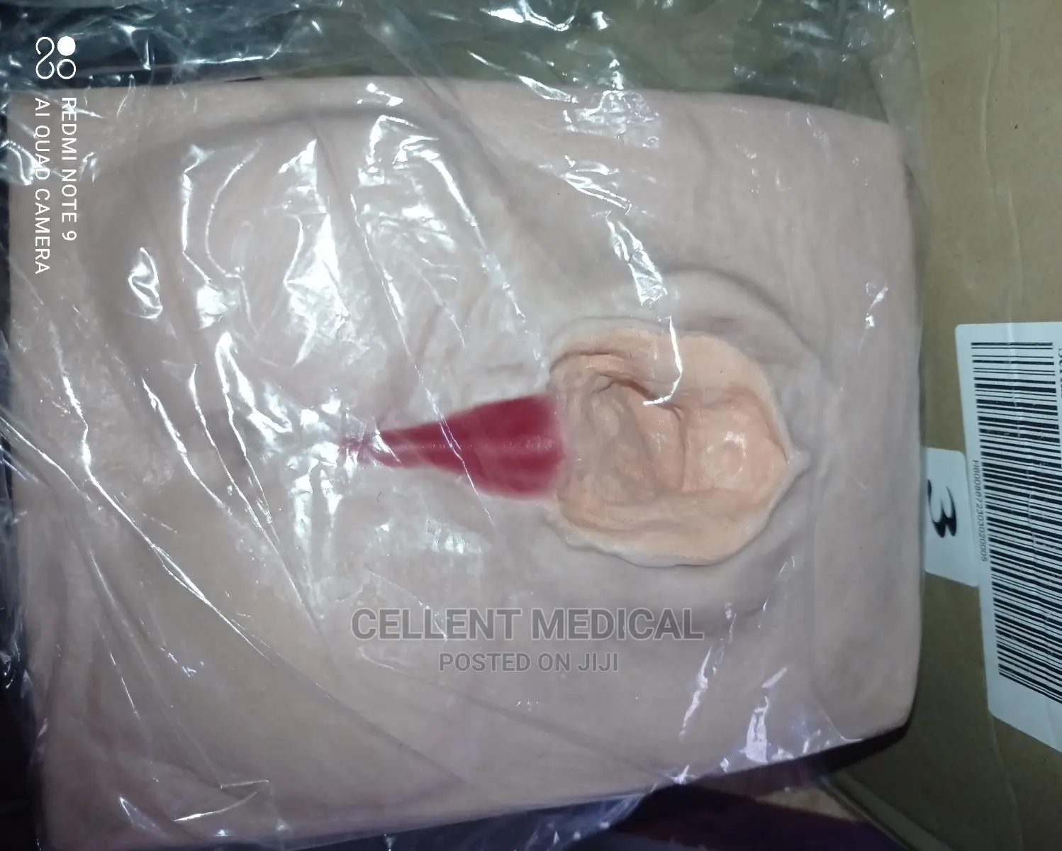 Vulva Training Simulator