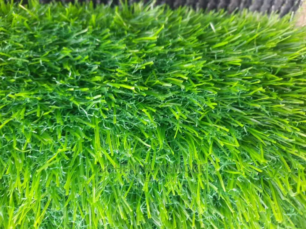 Main Green Grass