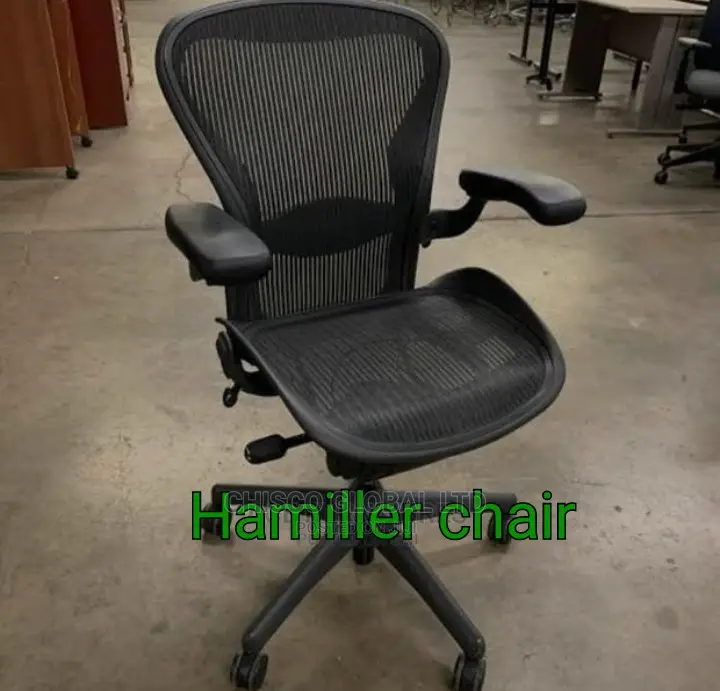 Office Chair {Hamiller}