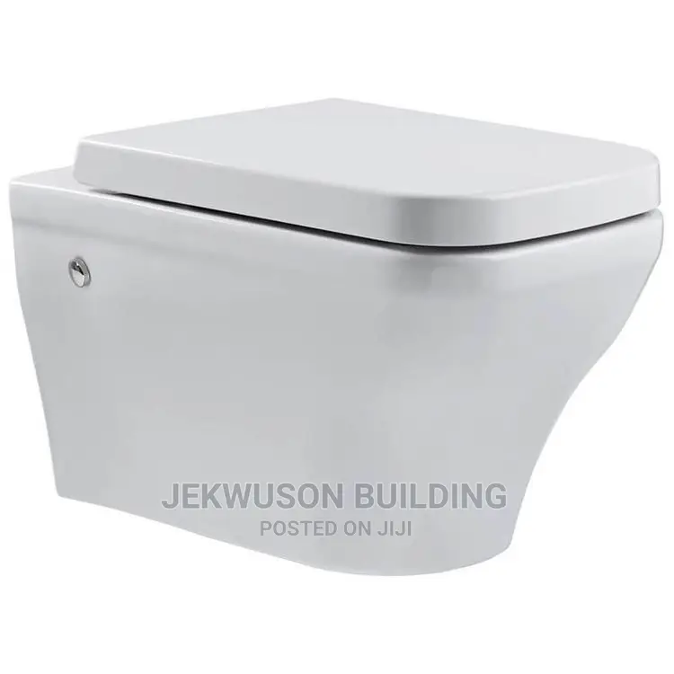 Sweethome Wall Hung Wc With Concealed Tank