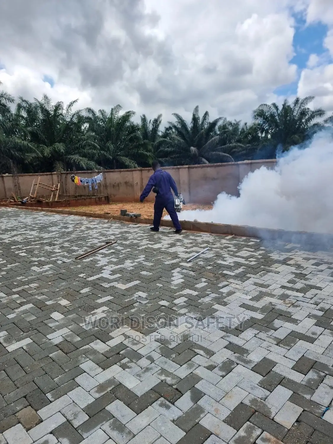 Gaseous Fumigation Service