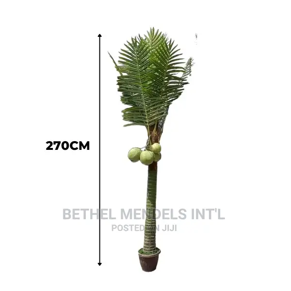 Artificial Flowers/Plants | Fake Coconut Palm Tree for Sale