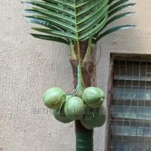 Artificial Flowers/Plants | Fake Coconut Palm Tree for Sale