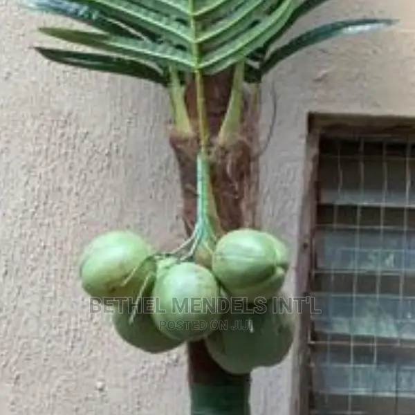 Sales of Fake 330cm Coconut Palm Tree