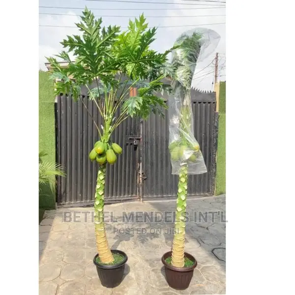 Fake 230cm Pawpaw Tree for Sale in Ikeja Lagos