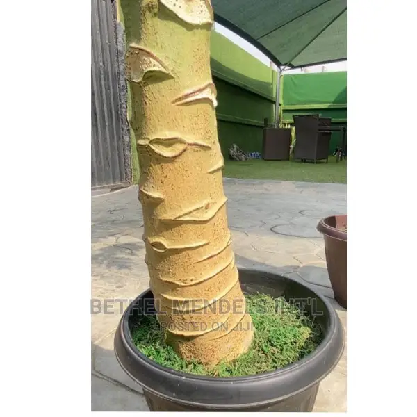 Fake 230cm Pawpaw Tree for Sale in Ikeja Lagos