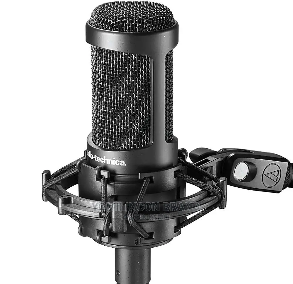 Audio-Technica AT2050 Large-Diaphragm Multipattern Condenser