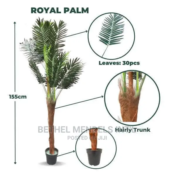 Artificial Palm Plants 165cm | Bulk Sale Palm Plants