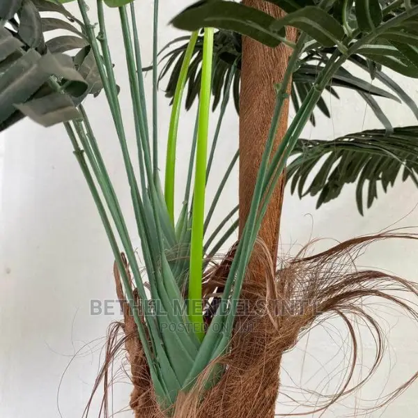 Artificial Palm Plants 165cm | Bulk Sale Palm Plants