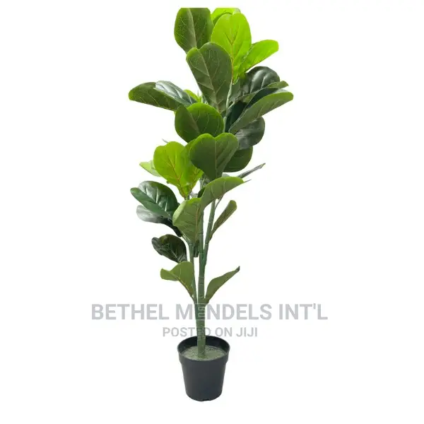Fake Fiddle Plants for Interior Home Decor | Bulk Sales